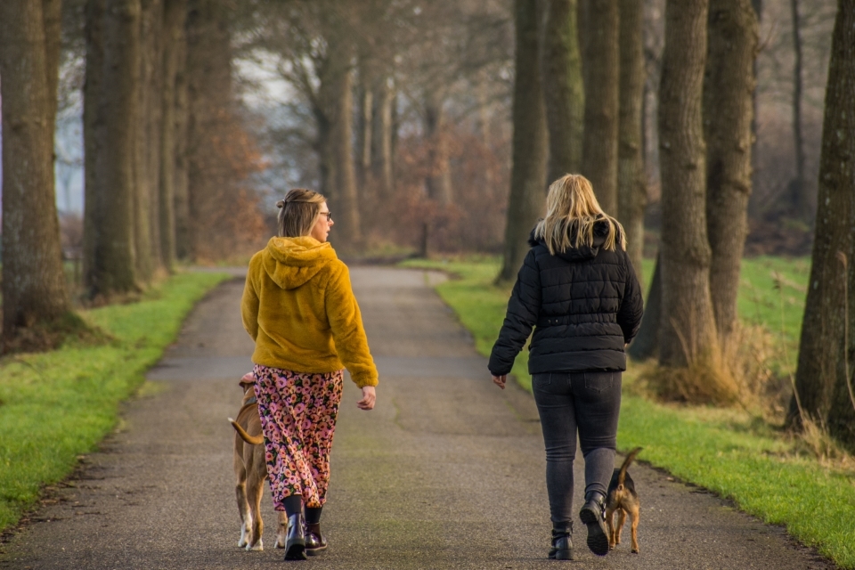 lokaal13  DSC2127 Aangepast