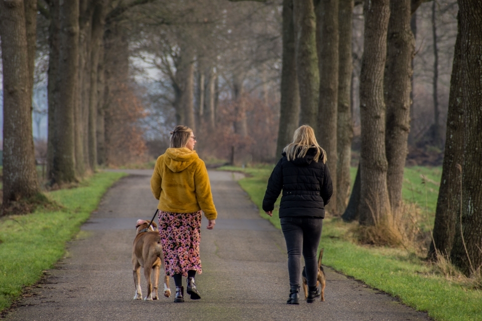 lokaal13  DSC2129 Aangepast